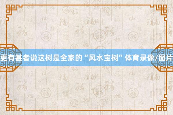 更有甚者说这树是全家的“风水宝树”体育录像/图片