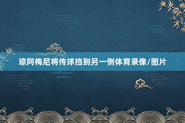 琼阿梅尼将传球挡到另一侧体育录像/图片