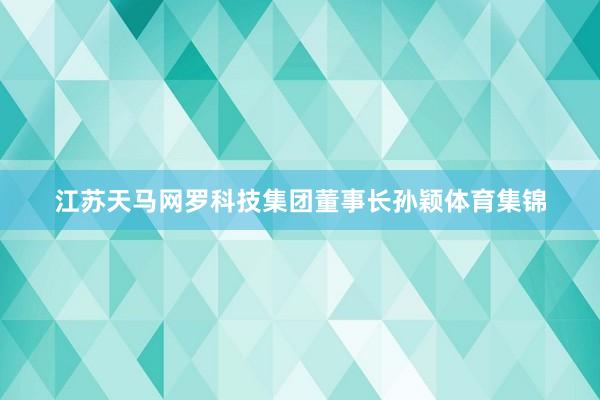 江苏天马网罗科技集团董事长孙颖体育集锦