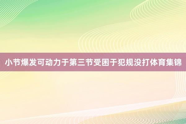 小节爆发可动力于第三节受困于犯规没打体育集锦