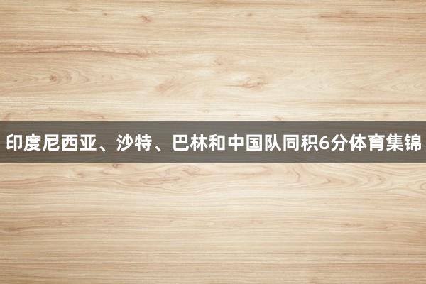 印度尼西亚、沙特、巴林和中国队同积6分体育集锦