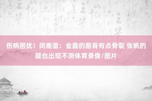 伤病困扰！闵鹿蕾：金鑫的胳背有点骨裂 张帆的腿也出现不测体育录像/图片