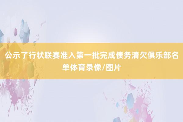 公示了行状联赛准入第一批完成债务清欠俱乐部名单体育录像/图片