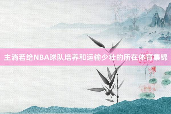 主淌若给NBA球队培养和运输少壮的所在体育集锦