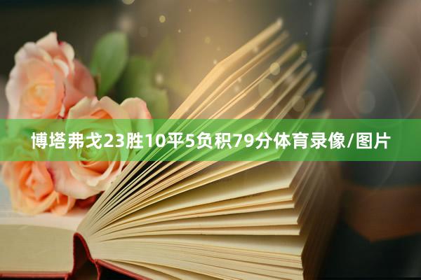 博塔弗戈23胜10平5负积79分体育录像/图片