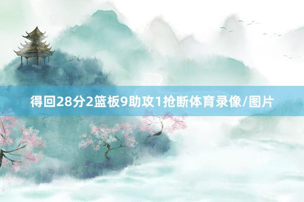 得回28分2篮板9助攻1抢断体育录像/图片