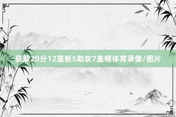 获取20分12篮板5助攻7盖帽体育录像/图片