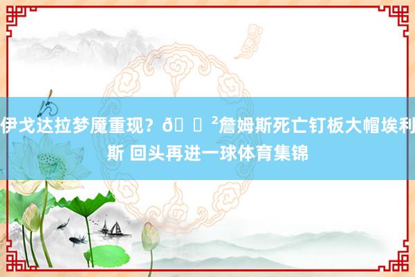 伊戈达拉梦魇重现？😲詹姆斯死亡钉板大帽埃利斯 回头再进一球体育集锦