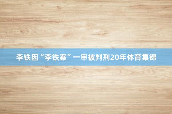 李铁因“李铁案”一审被判刑20年体育集锦