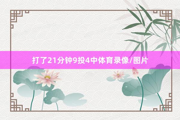 打了21分钟9投4中体育录像/图片