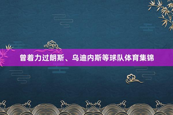 曾着力过朗斯、乌迪内斯等球队体育集锦