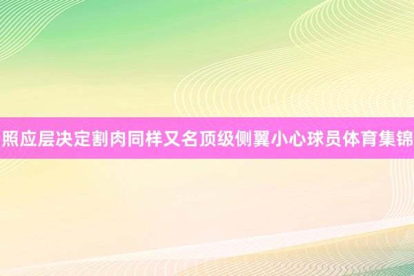 照应层决定割肉同样又名顶级侧翼小心球员体育集锦